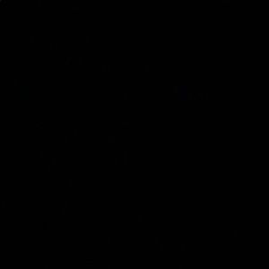 Meet your Posher, Celina